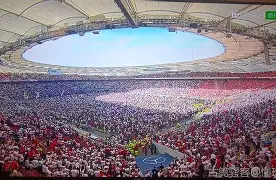 米兰体育-斯图加特遭非洲杯重创